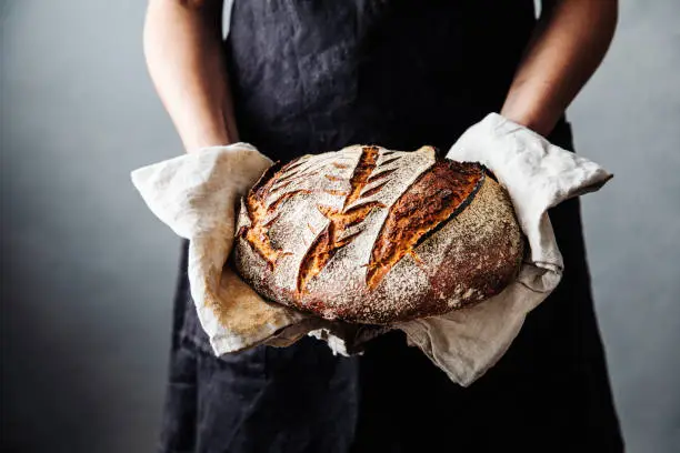 Midsection of woman holding fresh baked sourdough bread. Close-up of homemade wheat and rye beard. She is in kitchen.