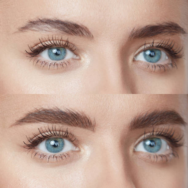 Beauty. Close Up Woman’s Eyebrows Before And After Microblading. Difference Between Female Brows With Lamination And Without Correction. Beauty. Close Up Woman’s Eyebrows Before And After Microblading. Difference Between Female Brows With Lamination And Without Correction. artists model photos stock pictures, royalty-free photos & images