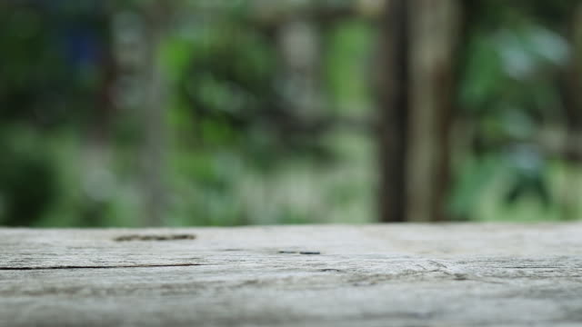 Wooden table with green defocused background