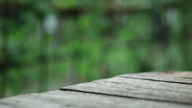 Wooden table with green defocused background