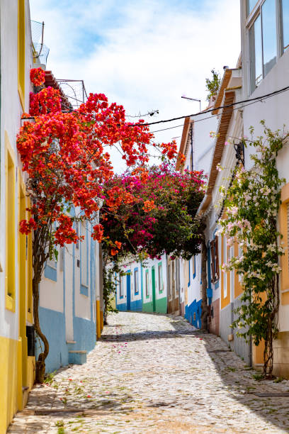 On the narrow Alleys of Ferragudo, Algarve, Portugal On the narrow Alleys of Ferragudo, Algarve, Portugal, Europe algarve stock pictures, royalty-free photos & images
