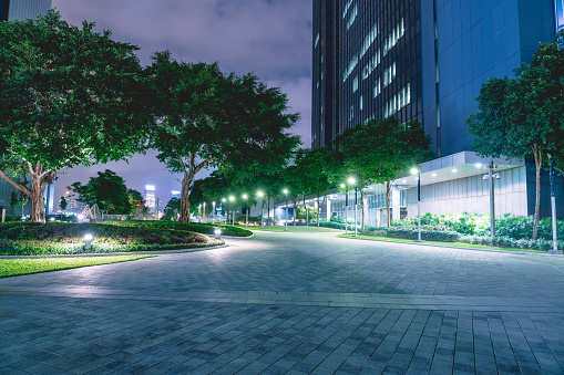 Night view of Hong Kong central district with city park