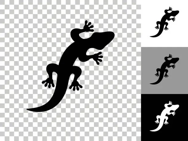 Vector illustration of Lizard Icon on Checkerboard Transparent Background