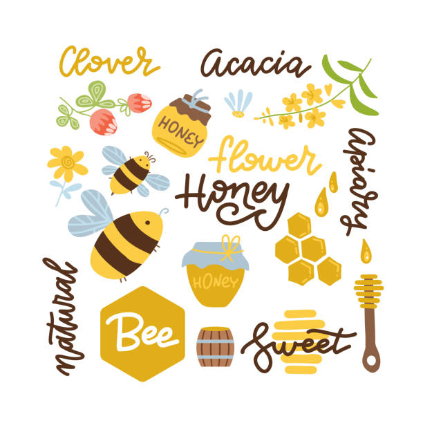 ilustraciones, imágenes clip art, dibujos animados e iconos de stock de juego de abeja, elementos de miel, manzanilla, trébol, cuchara de madera, panal, tarro, plantilla de logotipo y otras letras de apicultura. ilustración dibujada a mano plana vectorial. - spoon honey cute jar