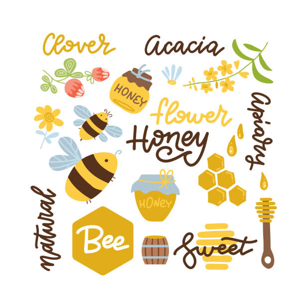 ilustrações, clipart, desenhos animados e ícones de conjunto de abelhas, elementos de mel mel, camomila, flores de trevo, colher de madeira, favo de mel, jarra, modelo de logotipo e outras letras de apicultura. ilustração de senha plana do vetor. - spoon honey cute jar