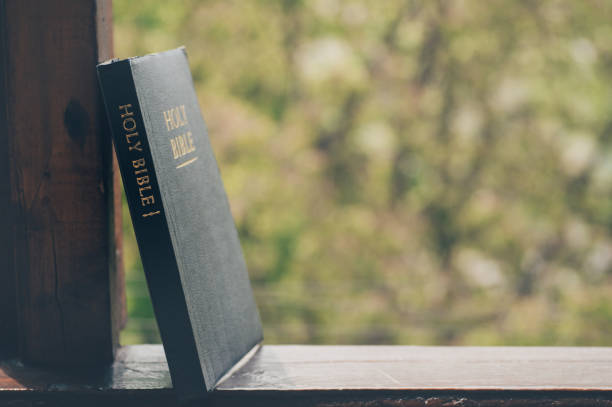 istock The Holy Bible. Reading the bible. 1225044811