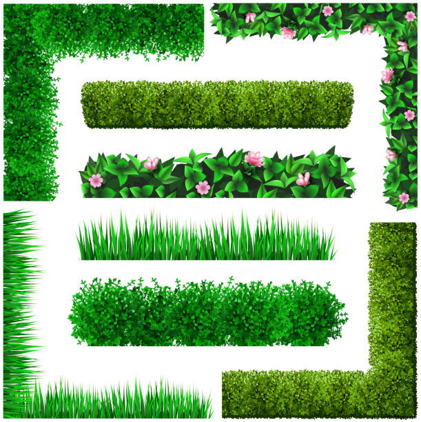 Set of green floral frames from leaves Vector templates. Set of green floral frames and corners. from the leaves. Corners of leaves and grass. Green hedge shrub hedge stock illustrations
