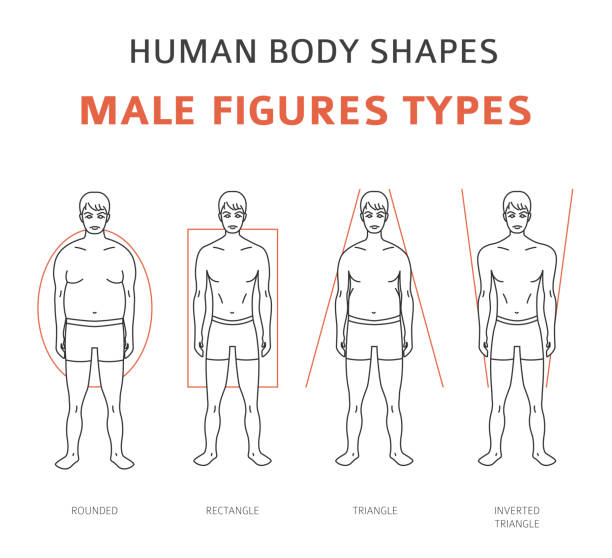 Bio Body Types Boyish Body Type