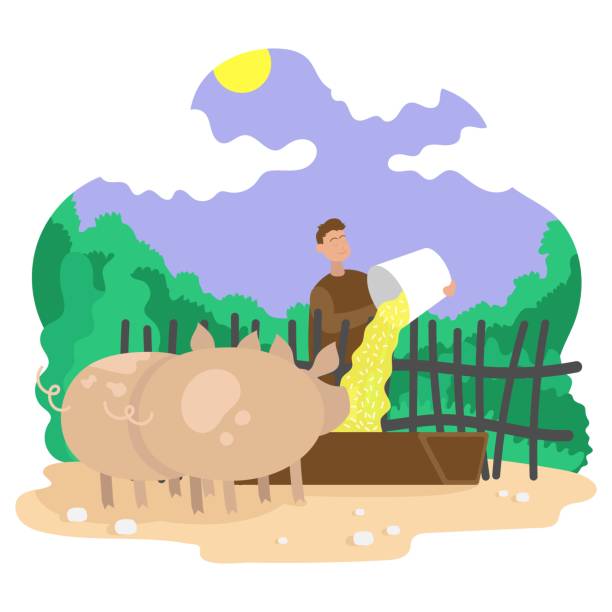 Farmer feeds pigs. Background landscape. Color illustration. Farmer feeds pigs. Background landscape. Color vector flat cartoon illustration. piggy man stock illustrations