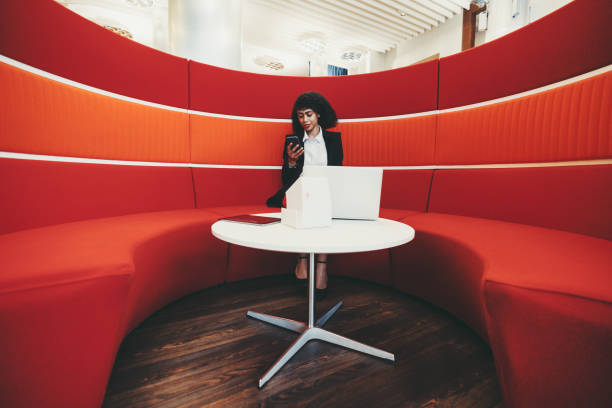 istock Biracial woman with laptop, red sofa 1225051743