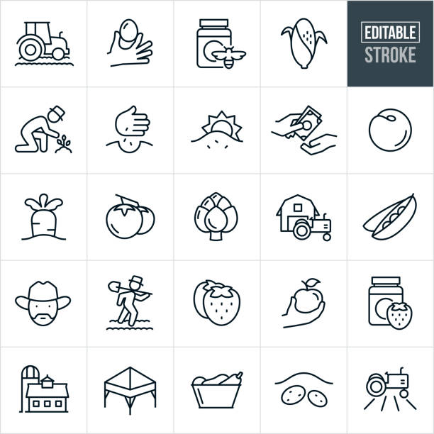 ilustrações de stock, clip art, desenhos animados e ícones de farmers market thin line icons - editable stroke - farm worker