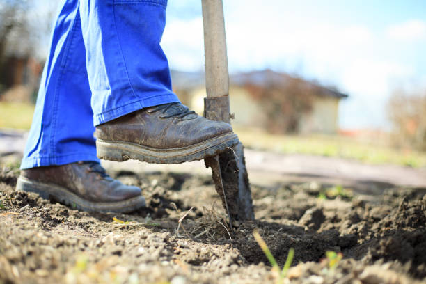 istock Senior man digging a garden for new plants after winter by spade 1225053848