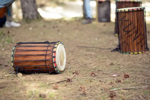 Photo of African drum lying on the forest floor.