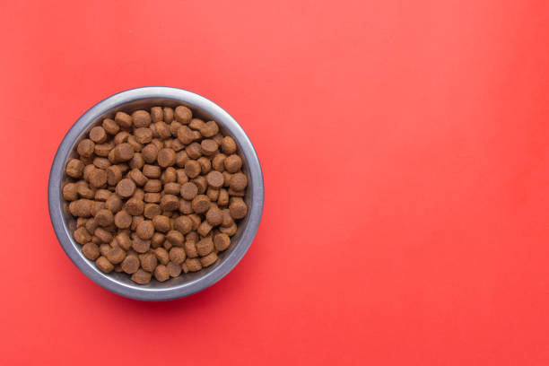 istock Dog food in a silver bowl. On the left. Red background. Copy, text sapce. 1225056912