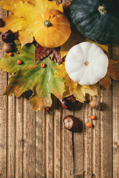 istock Variety of autumn leaves 1225057244