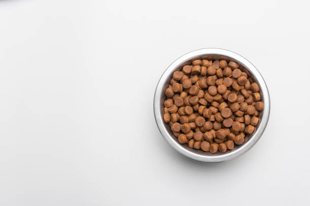 istock Dog food in a silver bowl. On the right. White background. Copy, text sapce. 1225058413