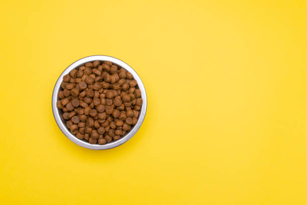 istock Dog food in a silver bowl. Right side. Yellow background. Copy, text sapce. 1225058719