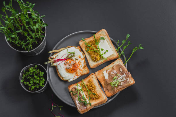 istock Variety of sandwiches for breakfast, snack, appetizers with fried egg, peanut paste, pea microgreen. Flat lay, top view 1225062118