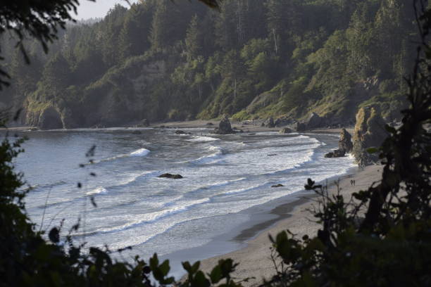 istock Trinidad Head Trail 1225062140