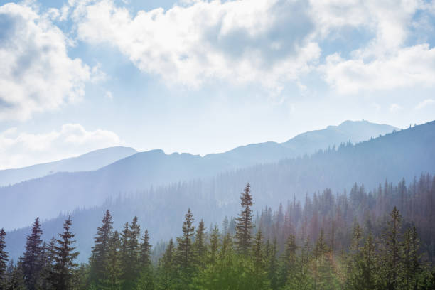 istock mountain landscape, Tatry, Poland 1225064017