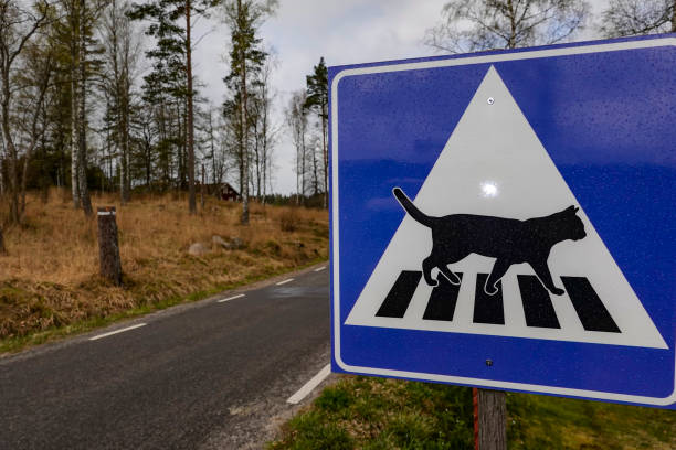 7,146 Funny Road Signs Stock Photos, Pictures & Royalty-Free Images - iStock | Listen 7,146 Funny Road Signs Stock Photos, Pictures & Royalty-Free Images - iStock | Listen