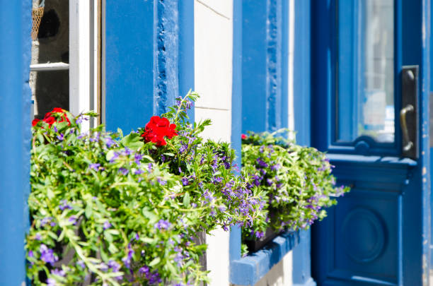 Plants and flowers on a window downtown Quebec city during day of springtime