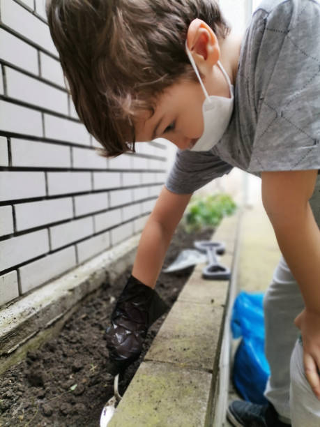 istock Small kid gardening during OVID-19 epidemic. 1225066555