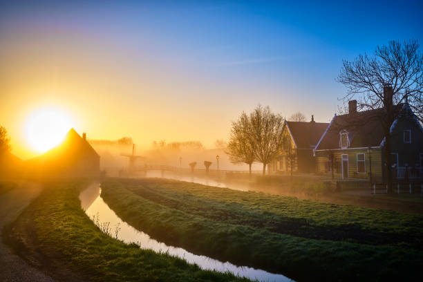 Traditional Dutch houses in the mist during sunrise at the Zaanse Schans in The Netherlands. Traditional Dutch houses along a small river in warm morning light with mist. Mills in the back ground Location is Zaanse Schans, one of the popular tourist attractions of The Netherlands. dutch culture photos stock pictures, royalty-free photos & images