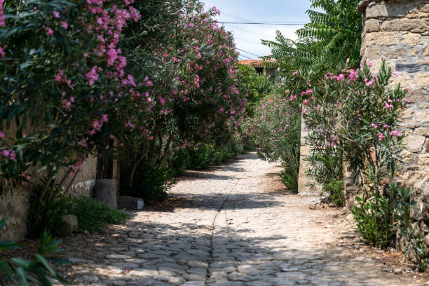 istock Adatepe village, Ayvalik, Turkey 1225068544