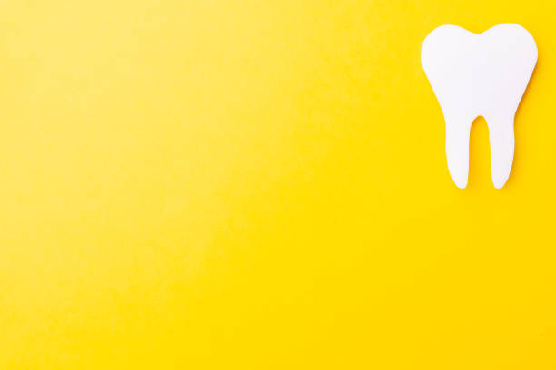 istock Paper tooth on a yellow background. Place for text. From above. place for text 1225068764