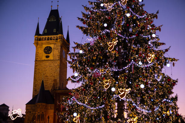 christmas tree at the old town square in prague, chech republic. - fog tree purple winter imagens e fotografias de stock