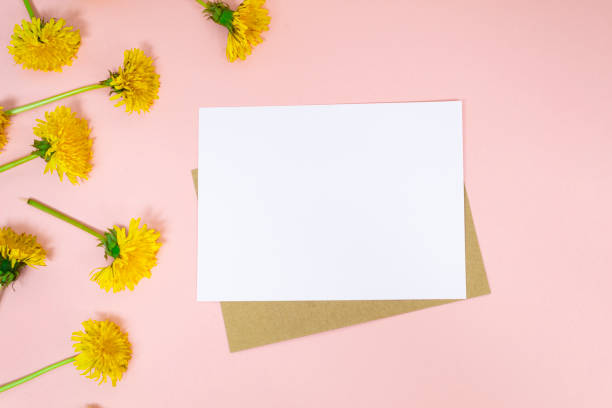 istock White sheet for text or postcard lies on a pink background, top view. Bright yellow spring dandelions are woven into a wreath and frame beautifully. 1225072025