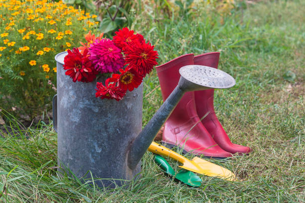 istock Beautiful autumn gardening still life. 1225072186
