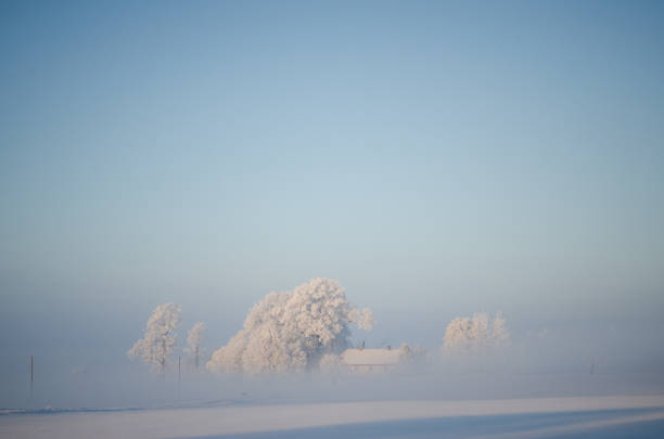 istock Snowy meadow field with cloudy sky in sunrise 1225072356