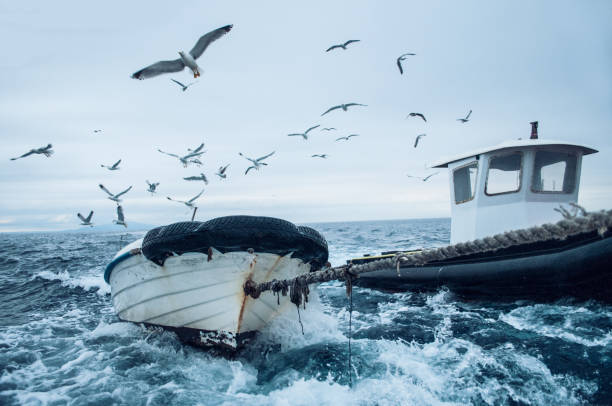 istock Fishing boat pulling a small rescue boat in bad weather. 1225074485