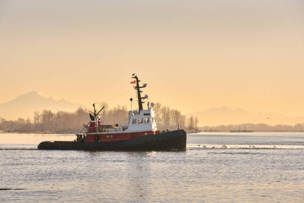 istock Early Morning Tugboat 1225074605