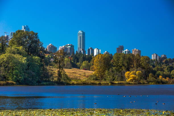 istock Forest lake in Burnaby City 1225075315