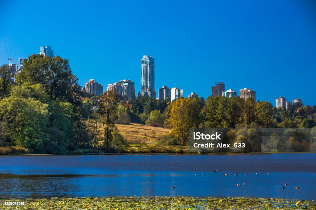 Forest lake in Burnaby City Deer Lake Park in Burnaby City, landmark downtown building skyscraper and  forest lake covered with water lilies, and forest on the background of blue cloudy sky City Stock Photo