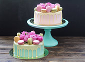 Modern pink cake with melted chocolate, fresh roses and macaroons. Black background, copy space.