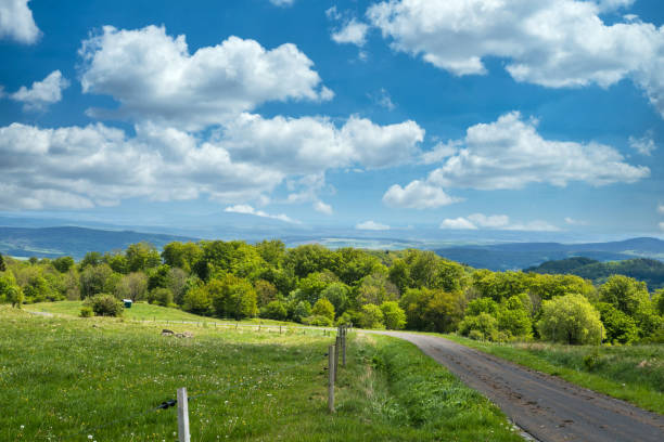 istock panoramic view of green fields and meadows and small road 1225075778