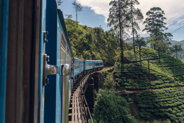 sri lanka plantation de thé colline incroyable tour de train de campagne - nuwara eliya photos et images de collection