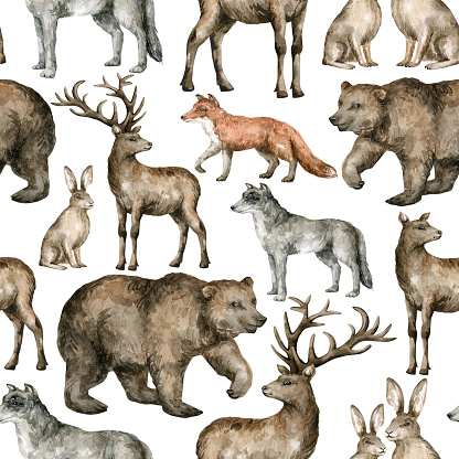 Pattern with forest animals