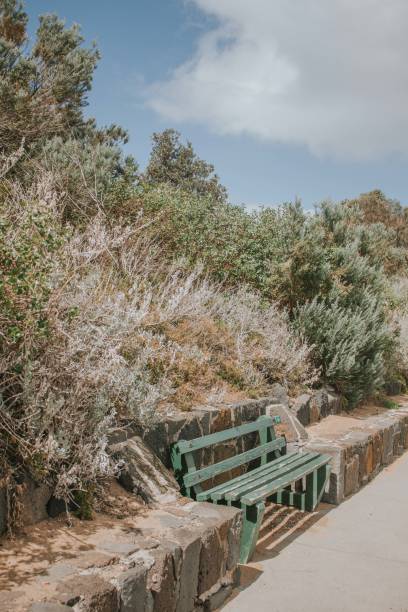 istock A green bench by the street. 1225078366
