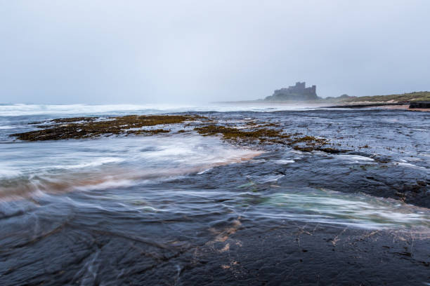 замок бамбург на побережье нортумберленда. - bamburgh castle northeastern england bamburgh castle стоковые фото и изображения