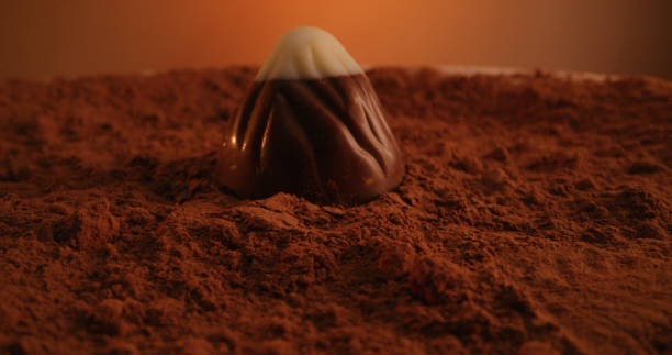Close up shot of various chocolate candies spread on cocoa powder