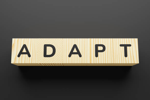istock Adapt is a word on wooden cubes. 1225080306