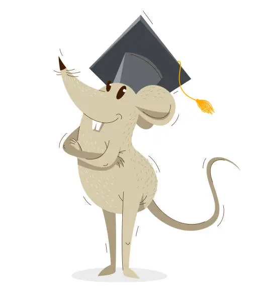 Vector illustration of Funny cartoon mouse in a student hat graduation from university vector illustration, education concept, humorous rat drawing.