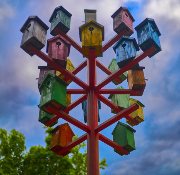A row of bird houses