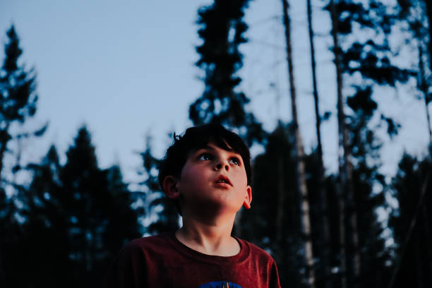 istock Young boy looking up at sky at dusk 1225082989