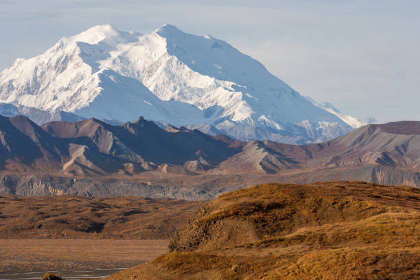 istock Scenic Denali National Park Landscape 1225085721